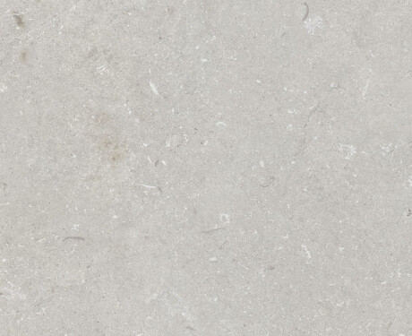 Грес за под 60x120 см, светлосиво, матово A4H1093 Shellstone Bianco