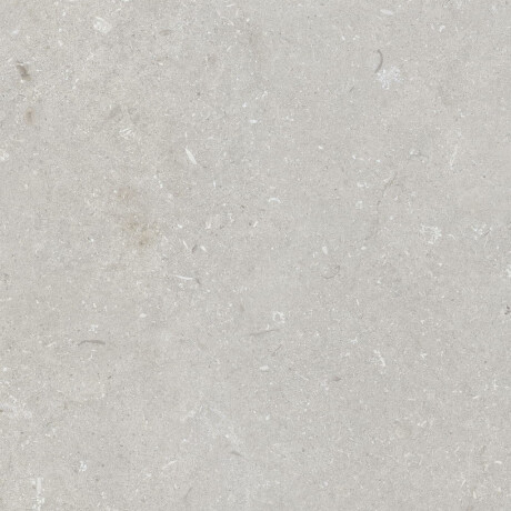 Грес за под 60x120 см, светлосиво, матово A4H1093 Shellstone Bianco #1