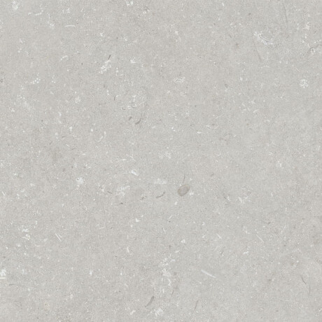 Грес за под 60x120 см, светлосиво, матово A4H1093 Shellstone Bianco #2