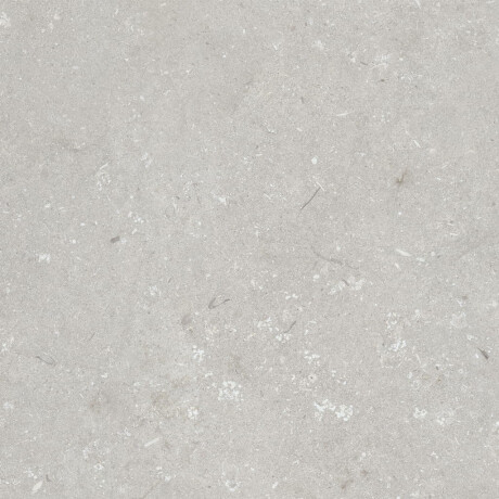 Грес за под 60x120 см, светлосиво, матово A4H1093 Shellstone Bianco #3
