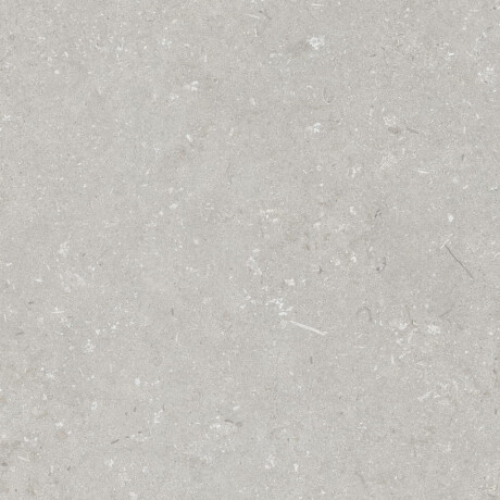 Грес за под 60x120 см, светлосиво, матово A4H1093 Shellstone Bianco #4