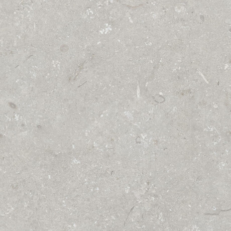 Грес за под 60x120 см, светлосиво, матово A4H1093 Shellstone Bianco #5