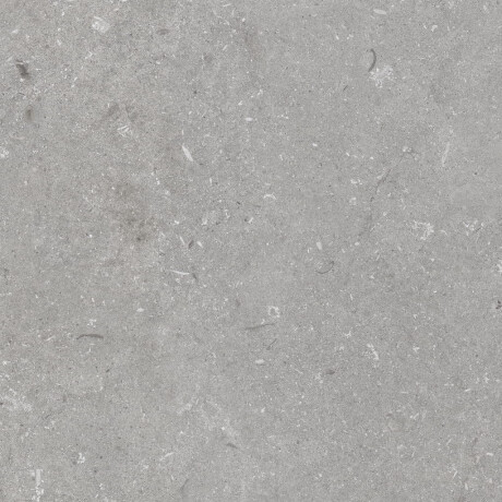 Грес за под 60x120 см, сив матов A4H1096 Shellstone Grigio #4