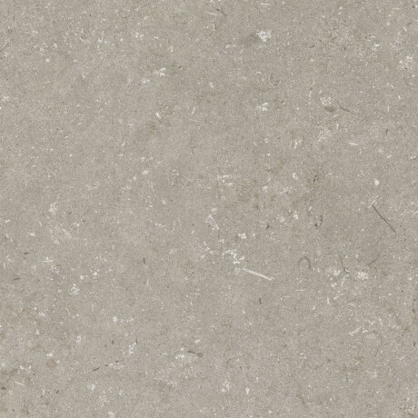 Грес за под 60x120 см, цвят „таупе“, матов, A4H1102 Shellstone Taupe #4