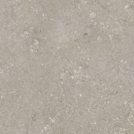 Грес за под 60x120 см, цвят „таупе“, матов, A4H1102 Shellstone Taupe #5