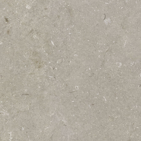 Грес за под 60x120 см, цвят „таупе“, матов, A4H1102 Shellstone Taupe #6
