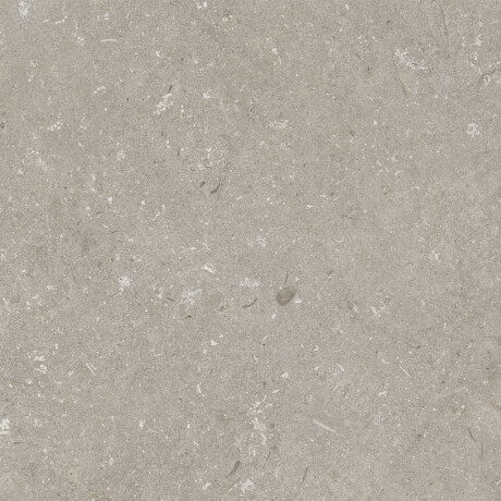 Грес за под 60x120 см, цвят „таупе“, матов, A4H1102 Shellstone Taupe #7