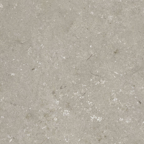 Грес за под 60x120 см, цвят „таупе“, матов, A4H1102 Shellstone Taupe #8