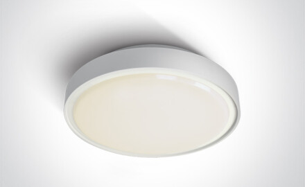 RAFTI E таванна лампа 12 W, IP65, сива