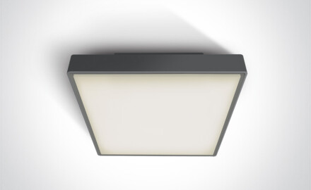 PIRNARI AN таванна лампа 24 W, 3000 K, IP65, сива