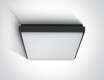 FASIDERI 2 плафон 30 W 3000 K IP54 бял