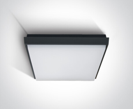 FASIDERI 2 плафон 30 W 3000 K IP54 бял